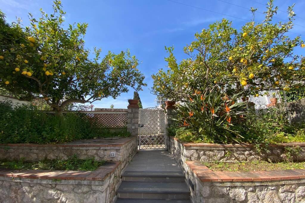 I Limoni Capri Apartment Kültér fotó